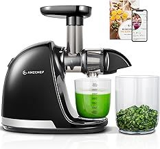 AMZCHEF Juicer Machines - Cold Press Slow Juicer -Masticating Juicer whole Fruit and Vegetable - Delicate Chew No Need to Filter - BPA Free Juice Extractor with 2 Cups and Brush - Black