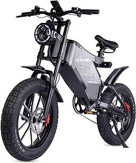 Electric Bicycle，20 Inch Off-Road EBIKE for Adults with 48V 25AH Detachable Lithium Ion Battery, Dual Hydraulic Disc Brake with Forged Mags Wheel