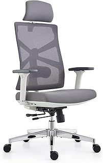 HOLLUDLE Ergonomic Office Chair with Adaptive Backrest, High Back Computer Desk Chair with 4D Armrests, Adjustable Seat Depth, Lumbar Support and 2D Headrest, Swivel Task Chair, White