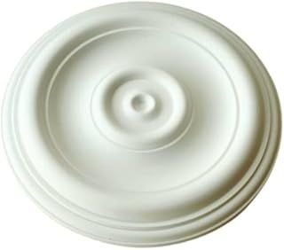 Highly Detailed Medium Size Ceiling Rose