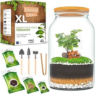 DIY Terrarium Kit XL PYEF CRAFTS - 4L Glass Terrarium Starter Set for Self Sustaining Ecosystem - Large Jar DIY Kit for Plants - No Plants (Set with Jar XL 4L)