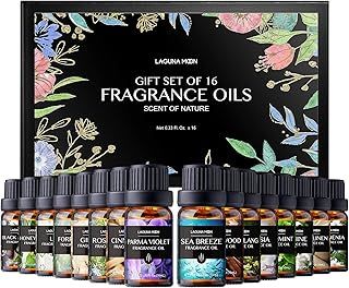 Fragrance Oils Gift Set TOP 16 Aromatherapy Premium Grade Oils Kit Fragrance Oils for Candle Making, Soap Making, Diffuser, Perfume, Bath - 10ml/Bottle