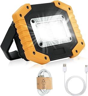 flintronic Rechargeable LED Work Light, 30W Portable COB Floodlight Waterproof Camping Lights, 3 Modes 2000LM Security Lights Outdoor for Garage Hiking Fishing Emergency (Batteries Included)