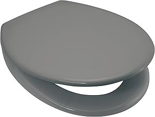 Rainbow Soft Close Toilet Seat (grey)