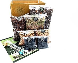 DIY Large Open and Closed Terrarium Kit (Terracotta Pebbles)