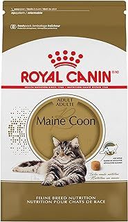 Royal Canin Maine Coon Dry Cat Food, 6- Pound Bag