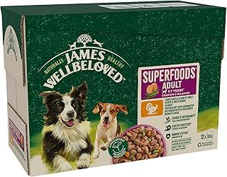 James Wellbeloved Superfood Adult Dog Food with Turkey in Gravy Pouch 12 x 90 g