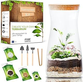 DIY Terrarium Kit for Plants - Starter Set for Garden in Bottle - Self Sustaining Ecosystem - Plant Terrarium Kit with Jar, Moss, Soil, Activated Charcoal, Stones and Tools (Set with Jar)