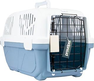 Hard Pet Carrier Crate Box for Cats and Dogs Travel Kennel Animal Box (Large, Blue)