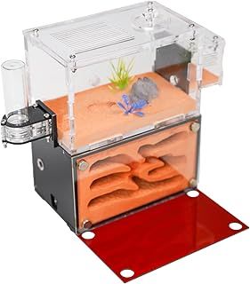 Rimsunta Ant Farm House for Adults - Two Floor Formicarium for Live Ants and Queen - Educational Terrarium for Study of Ant Behavior