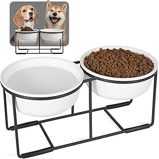 Ceramic Elevated Dog Bowl Set - Double Dog Bowls with Non-Slip Metal Stand - Raised Dog Food and Water Bowl Set - Dog Feeding Bowls - Ideal for Small and Medium Dogs - 2 Cups - 27 fl oz - Matte White