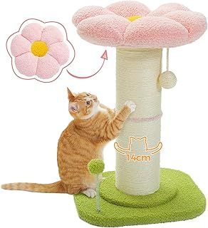 PAWZ Road Flower Cat Scratching Post, Small Tree, Tall Scratcher for Indoor Cats With Super Thick Post [Dia=14cm], Removable Flower Bed, Scratch Post With Spring Ball, Pink