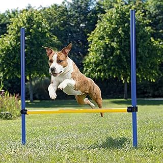 Pet Prime Pet Dogs Outdoor Games Agility Exercise Training Equipment Jump Hurdle bar Obedience Show Training for Dogs