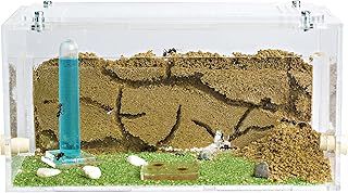 AntHouse - Natural Sand Ant Farm | Acrylic Starter Kit 20x10x10 cm