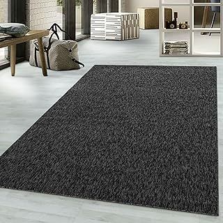 viceroy bedding NIZZA Modern Rugs Living Room Carpet Mat For Bedroom Large Area Rug Hallway Kitchen Extra Large Size Short Pile Flat Weave (160cm x 230cm (5.5ft x 7.5ft), Beige)