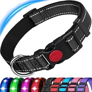 Dog Collar, Reflective Adjustable Basic Dog Collar with Soft Neoprene Padding, Durable Nylon Pet Collars for Puppy Small Medium Large Dogs, Black, S: 9-14.2 inch