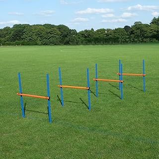 FVLFIL Dog Days - Dog Agility Equipment Kit | Outdoor Exercise Dog/Puppy Agility Training Hurdle Set