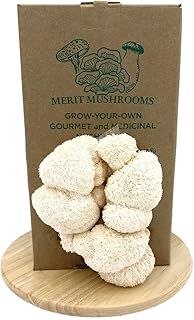 Large Lion's Mane Mushroom Growing Kit | Ready-to-Grow | Cut and Spray | Mushrooms in as Little as 2 Weeks | Grow Your Own Mushrooms