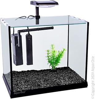 Aqua One Betta Oasis 13L Aquarium with LED, Heater and Filter. 31x20x26cm
