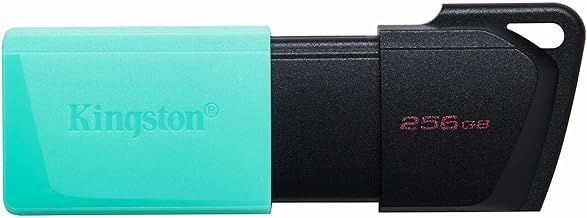 Kingston DataTraveler Exodia M USB 3.2 Gen 1 DTXM/256GB- with Moving Cap (Black + Teal)