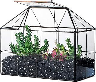 NCYP Geometric Glass Terrarium - 25x13.5x20 cm House Shape Terrarium Planter for Succulents, Cacti - Modern Home Indoor Tabletop Decor, Centerpiece, Black (No Plants)