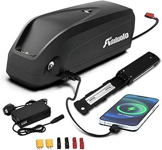 Adaluolo 48V Ebike Battery 20AH Hailong Electric Bike Battery Lithium ion Bicycle Battery with Charger, 5 Pin Fix Plate, USB Port, Connector for 100W-1500W Motor