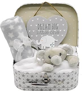 New Baby Gift Set - Unisex Keepsake Box, Fleece Blanket, Comforter and Hanging Plaque
