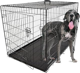 DogCrates+ Extra Extra Large Foldable Dog Crate with 2 Doors, Non-Chew Metal, Removable Tray, 46-Inch Black