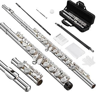 Flute, Closed-Hole C Flute 16 Keys, Student Flute with Split E & Offset-G, with Flute Case/Flute Cleaning Kit/Probe Rod/Gloves/Grease, Nickel Flute for School Band Practice-Skyblue