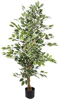 Artificial Ficus Tree/Plant, White Edge Bushy, 120cm