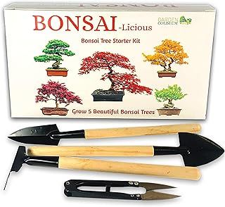 Bonsai Tree Kit - Grow Your Own Bonsai Trees. Gardening Gift Set. Bonus Bonsai Mini Toolset Included - Seed Germination Starter Kit with 6 Seed Species to Grow, Unique Gift Idea.