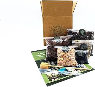 DIY Small Open and Closed Terrarium Kit