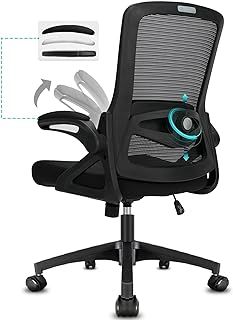 Office Chair Ergonomic Desk Chair with 90° Flip-up Armrest Lumbar Support, Height Adjustable Chair, Executive Swivel Computer Padded Seat Cushion for Home/Office