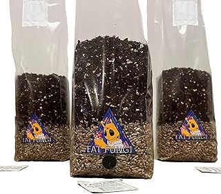 Fat Fungi Mushroom Growing Kit UK | All in One | Organic Rye Grain + CVG | Just add Spores Like Magic...