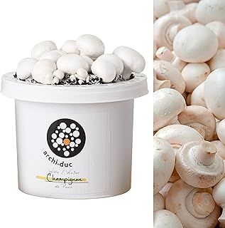 White Button Mushroom Kit | Grow Your Own Fresh Mushrooms for Cooking | Culinary Kitchen Garden