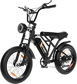 HITWAY Electric Bicycle, 20 * 4.0 inch Off-Road EBIKE for Adults with 250W Motor and 48V 15Ah/2 * 48V13Ah Battery, 7 Speed Snow Bike range 45-150 km