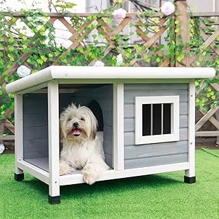 Petsfit Dog House,Wooden Cat Kennels for Outside with Steel Window, Outdoor Pet House with One Room and One Lounge, Asphalt Roof Dog Houses for Outdoor