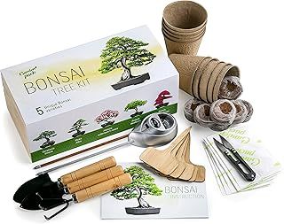 Grow Your Own Bonsai Tree Kit by Garden Pack - 5 Different Bonsai Trees to Grow - Gardening Gifts Idea w/Natural Wood Box, Gardening Accessories