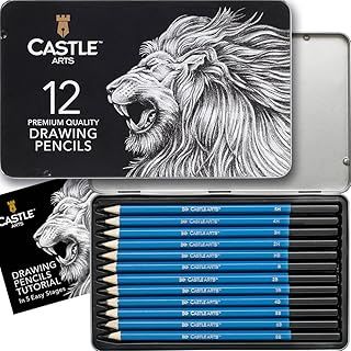 Castle Art Supplies 12 Piece Graphite Drawing Pencils Set | For Adult Artists – Beginners and Advanced | Presented in Attractive, Compact, Sturdy Metal Case With Tutorial