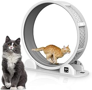 Pilipane Cat Exercise Wheel,Large Cats Treadmill Wheel Diameter with Pedometer for Indoor,Cat Weight Control Machine for Running Walking Training