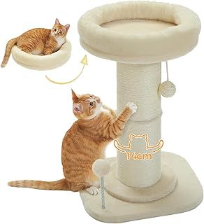 PAWZ Road Cat Scratching Post, Tall Cat Scratcher for Indoor Cats with Super Thick Scratching Post [Dia=14cm], Removable Fluffy Cat Bed, Cat Scratch Post with Spring Ball, Beige