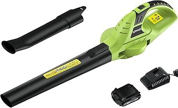 bigzzia Cordless Leaf Blower with 20V Li-ion Battery, Electric Garden Blower, 2-Speed, Detachable Tubes, 3.3 IBS Lightweight, 209CFM Blower for Leaf Dust Snow