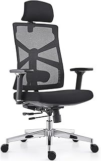 HOLLUDLE Ergonomic Office Chair with Adaptive Backrest, High Back Computer Desk Chair with 4D Armrests, Adjustable Seat Depth, Lumbar Support and 2D Headrest, Swivel Task Chair, Black