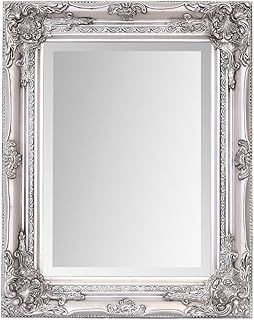 Select Mirrors Rhone Mirror - French Vintage, Antique Baroque Style - 42cm x 53cm (Antique Silver)