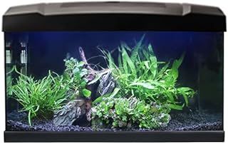 Swell Aquarium 60cm Tropical Freshwater LED Fish Tank Kit 54ltrs
