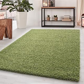 Small Large Shaggy Rug Modern Rugs Living Room Extra Large Small Medium Rectangular Size Soft Touch Thick Pile Living Room Area Rugs Non Shedding (Green, 120x170 cm)