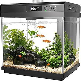 AQQA 14L Aquarium Starter Kits,Small Glass Fish Tank with Filter and LED Light,10 Colors Adjustable Nano Aquarium Tank,Self Cleaning Tropical Fish Tank Kit,for Betta Shrimp Goldfish