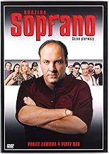 Sopranos Series 1: Box Set, The [4DVD]