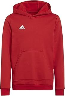 adidas Unisex Kids Entrada 22 Sweat Hoodie Hooded Sweat