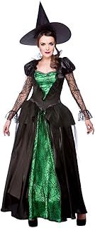 Adult Ladies Deluxe Emerald Witch Halloween Fancy Dress Costume (Small)